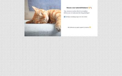 Subscribe - De Katten Specialist