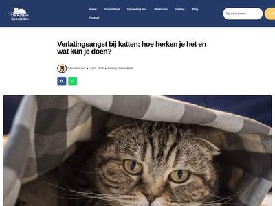 Verlatingsangst bij katten: hoe herken je het en wat kun je doen? - De Katten Specialist